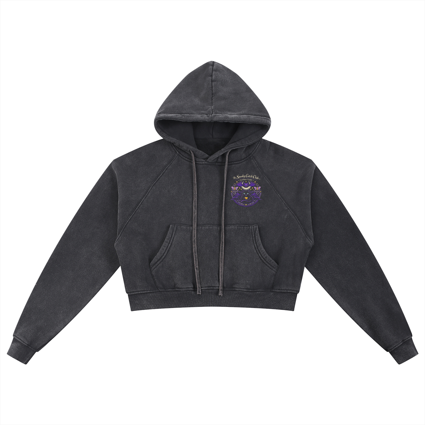 The Mist-Washed Cropped Hoodie