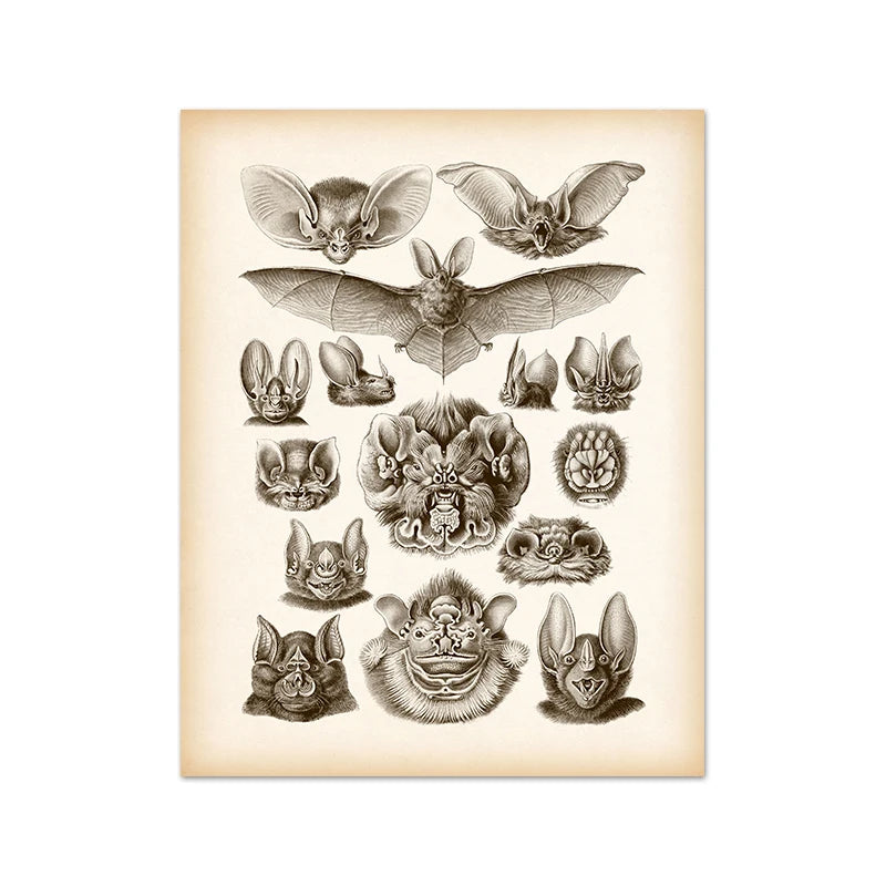 The Gothic Bat Wall Art Print