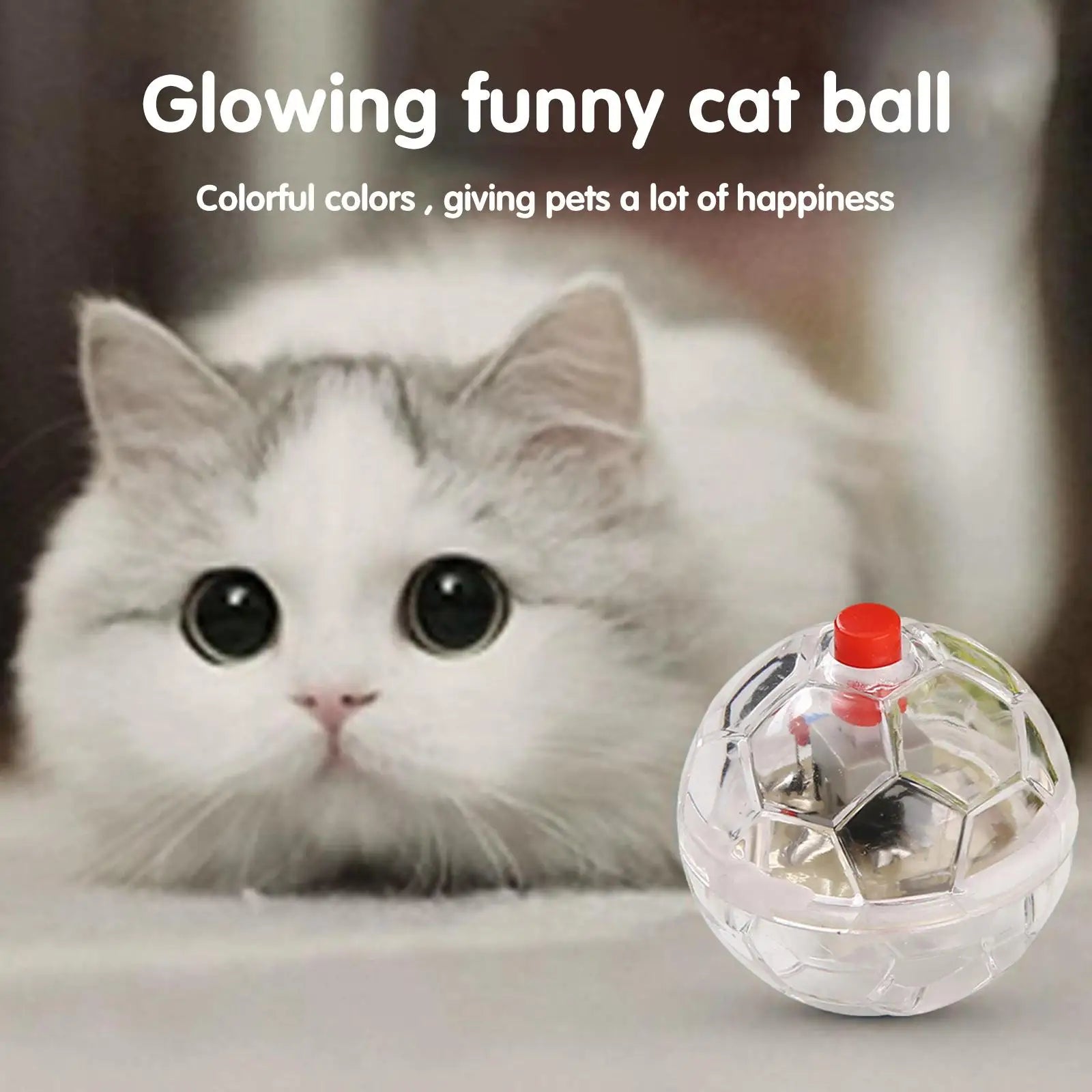 The Paranormal Cat Ball - Motion Flash Balls