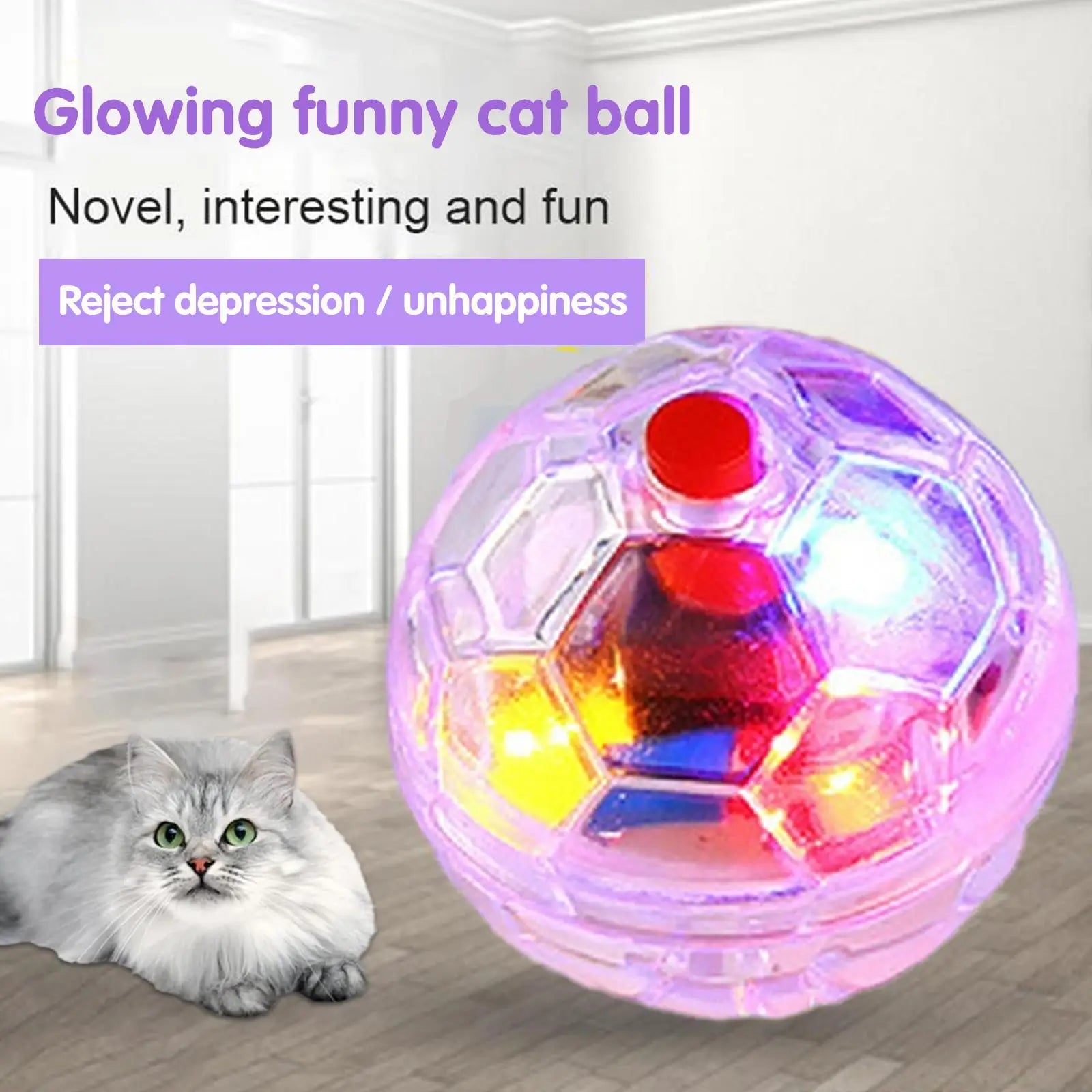 The Paranormal Cat Ball - Motion Flash Balls
