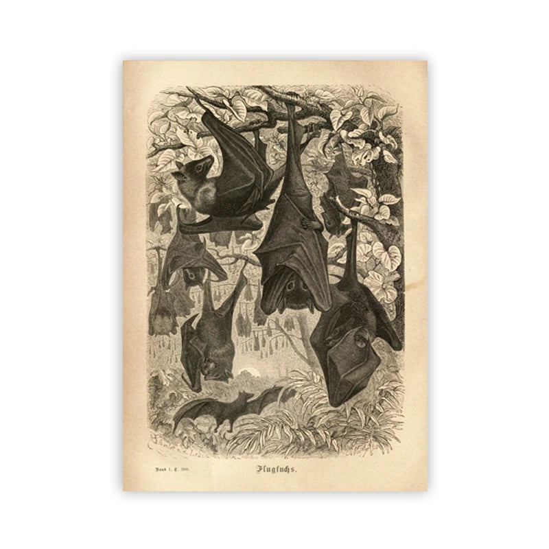 The Gothic Bat Wall Art Print