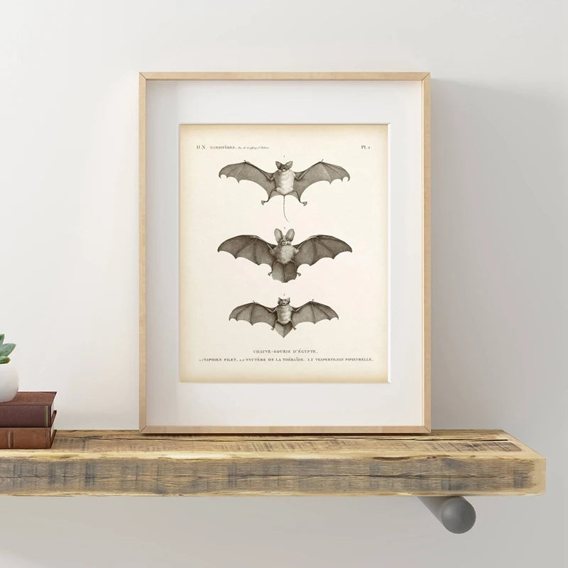 The Gothic Bat Wall Art Print
