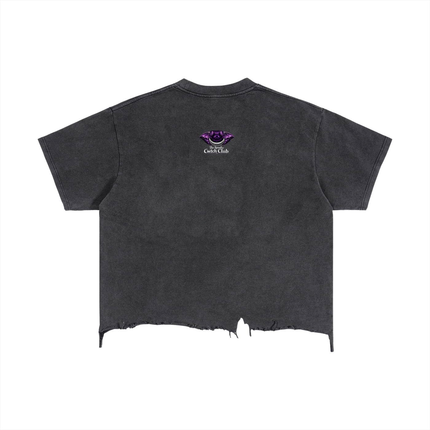 The Haunted Vintage Boxy Tee